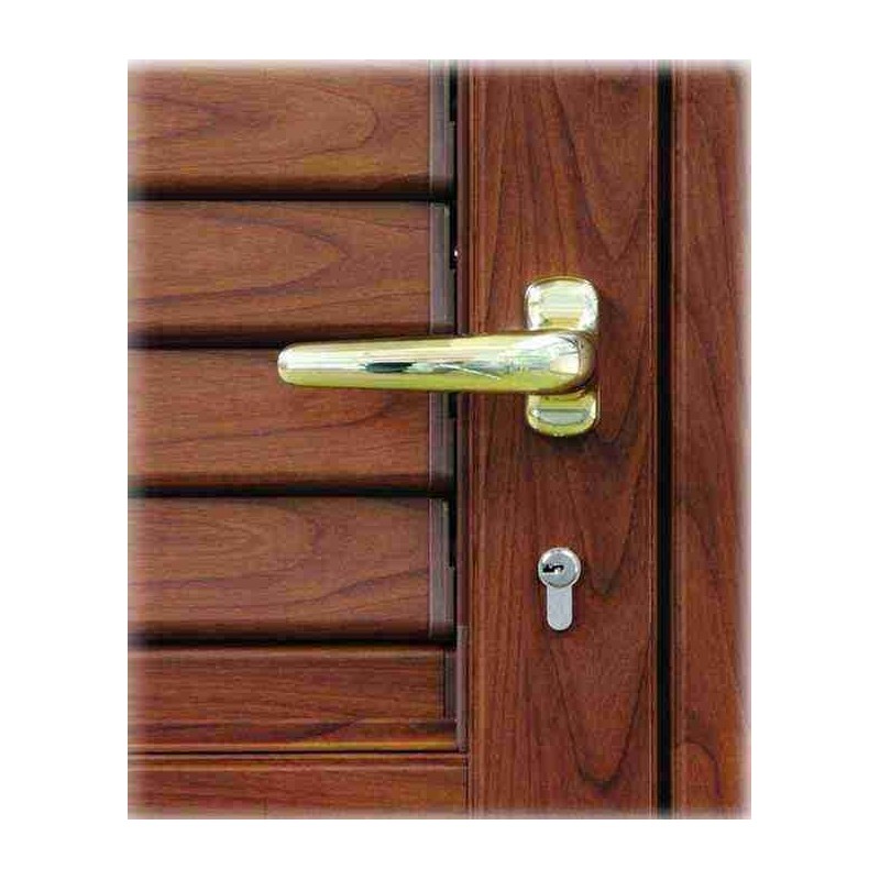 Particolare di serratura con maniglia