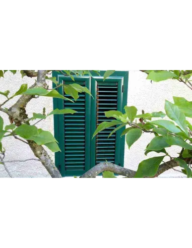 Porta Finestra a 2 Ante