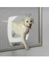 portina per animali